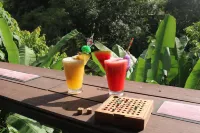 Khao Sok River Home Resort - bar