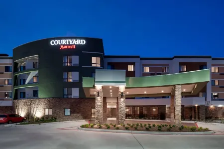 Courtyard Houston North/Shenandoah Отели в г. Шенандоа