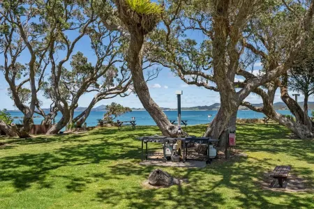 The Sands Motel Отели в г. Тачекака