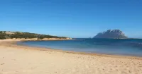 Almasarda