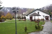 Pensiunea Rhein Hotel a 