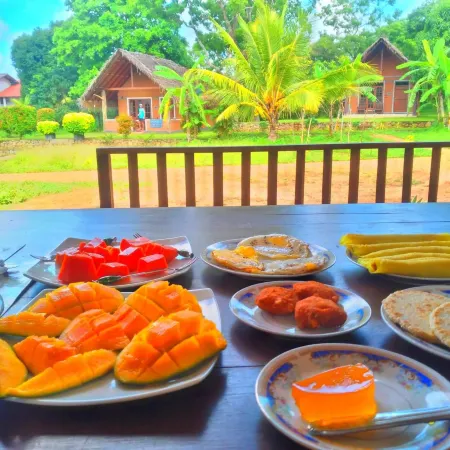 Sigiriya Nature Resort