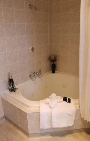 Alpine Rose Motel Отели в г. Марсден