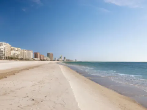 スプリングヒル スイーツ バイ マリオット オレンジビーチ ガルフショアーズ ボールドウィンのホテル