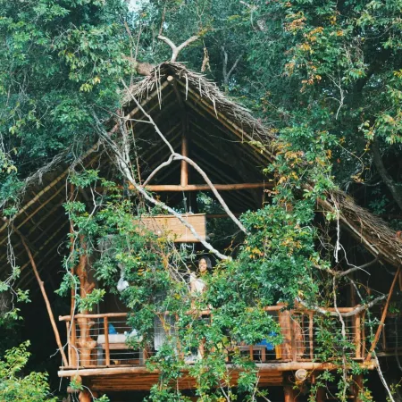 Back of Beyond - Wild Haven