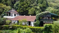 The Tamarillo - Bed and Breakfasts