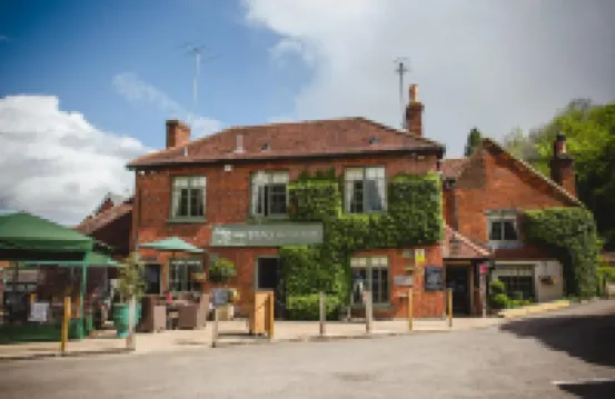 The Stag on the River