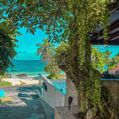 Divers Lodge Guest House Hotel Exterior
