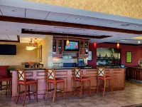 Hilton Garden Inn St. Louis Shiloh/O'Fallon - bar