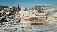 Hotel Sonne Post mit Schwimmbad Hotels near Zirkusplatz Titisee-Neustadt