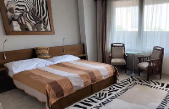 菲伊德米斯泰克非洲酒店 酒店