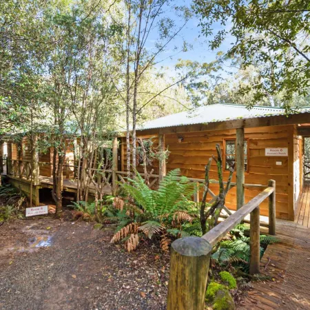 Cradle Forest Inn