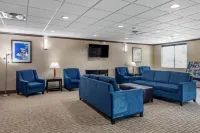 Comfort Suites Plano - Dallas North