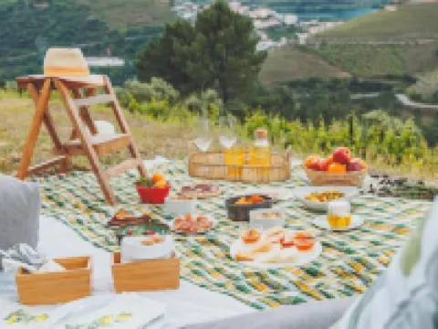 Casa do Arco by Douro Exclusive Hotels in Sabrosa