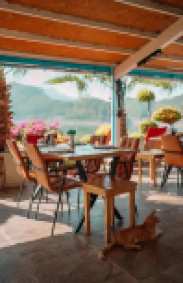 โรงแรมและร้านอาหารบูทิคดอลฟิน