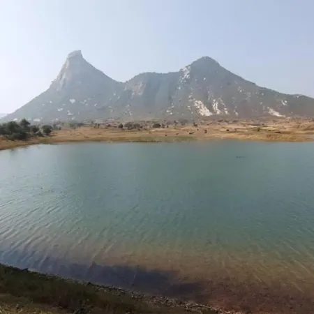Palash Pahar Resort