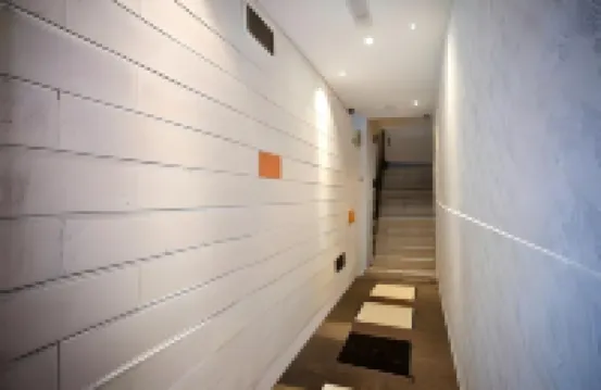 Lazy Cat Home at Gaya Street