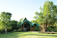 Tube n Axe Lodge and Backpackers Hotels near The Big Tree Tsitsikamma