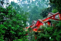 Tea Valley Resort, Munnar - balcony
