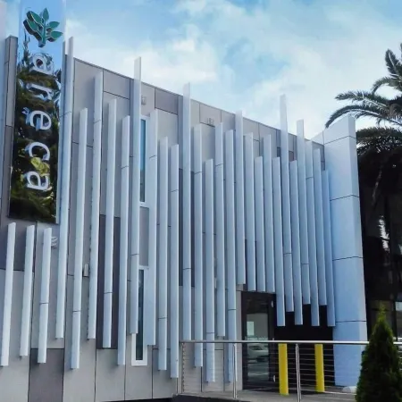 Areca Launceston