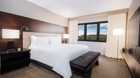 Sao Paulo Airport Marriott Hotel