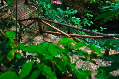 庭 JWマリオット・カンクン・リゾート＆スパの写真