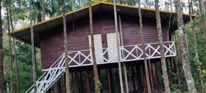 Deep Jungle Home Hotel di Nilgiris