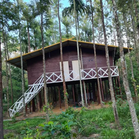 Deep Jungle Home