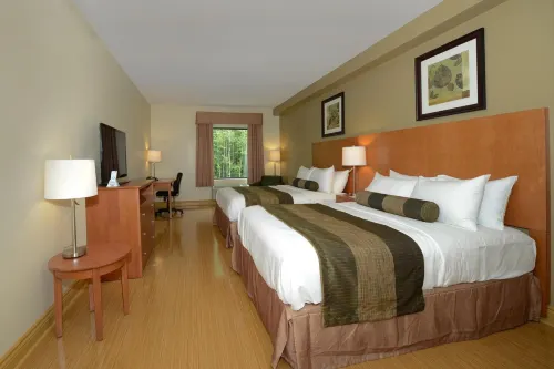 Quality Inn & Suites