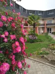 Vaterloo Hotel