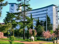 Karavella Hotel Hotels in Tuapse