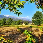 Seclude Palampur - Parkplatz