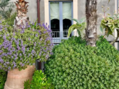 อาสมุนโด ดิ จิซิรา