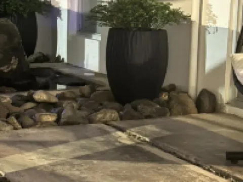 マル デル ノルテ カロライナのホテル