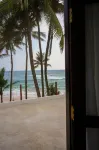 Surfing Tusker - Thalpe - Beach