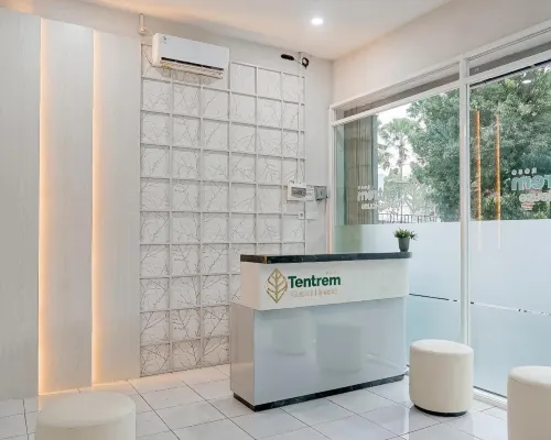 Roso Tentrem by Calli Rooms Hotels in Patrang