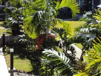 Hotel Colibri - WiFi