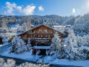 神奇的梅傑夫博伊斯