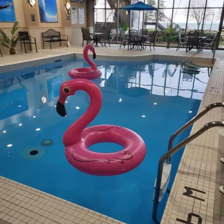 Waterfront Hotel Downtown Burlington
