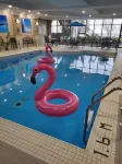 Waterfront Hotel Downtown Burlington - Pools