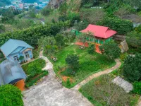 Sakura House - Hoa Ban
