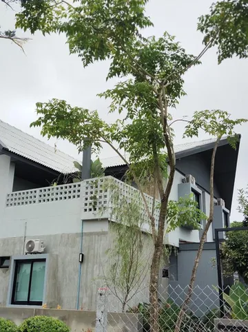 รูปภาพของH1boutique