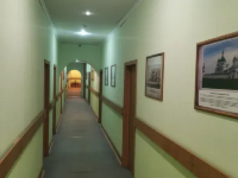 Lion Hotel Hotels in Rostov