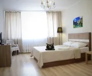 烏拉爾斯基貝利加公寓飯店 腳踏車發明者葉菲姆.阿爾塔莫諾夫雕像附近的飯店