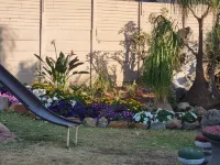 Airport Inn Bed and Breakfast