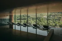 Torel Quinta da Vacaria – Douro Valley - spa