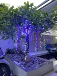 M Villa Nha Trang - Holiday bungalows