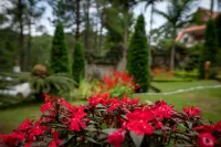 Hillock Villa - Homestays