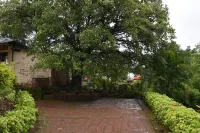 Wind Chalet Hotels in Goshatwadi