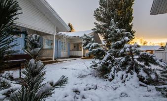 Arctic Resort Delight